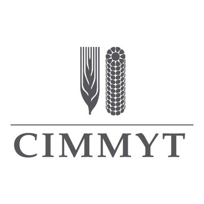 International Maize and Wheat Improvement Center (CIMMYT) logo