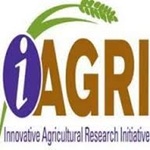 Innovative Agricultural Research Initiative logo