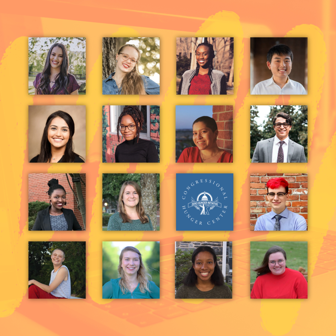 Composite Photo of Zero Hunger Interns