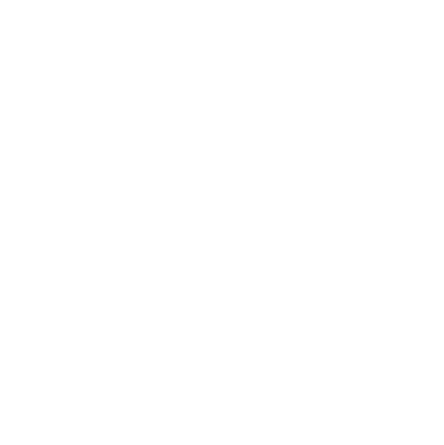 30th Anniversary Logo