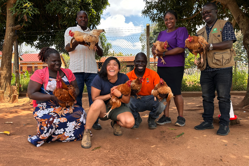 Hunger Fellow Chika Kondo with Chicken Farmers in Uganda